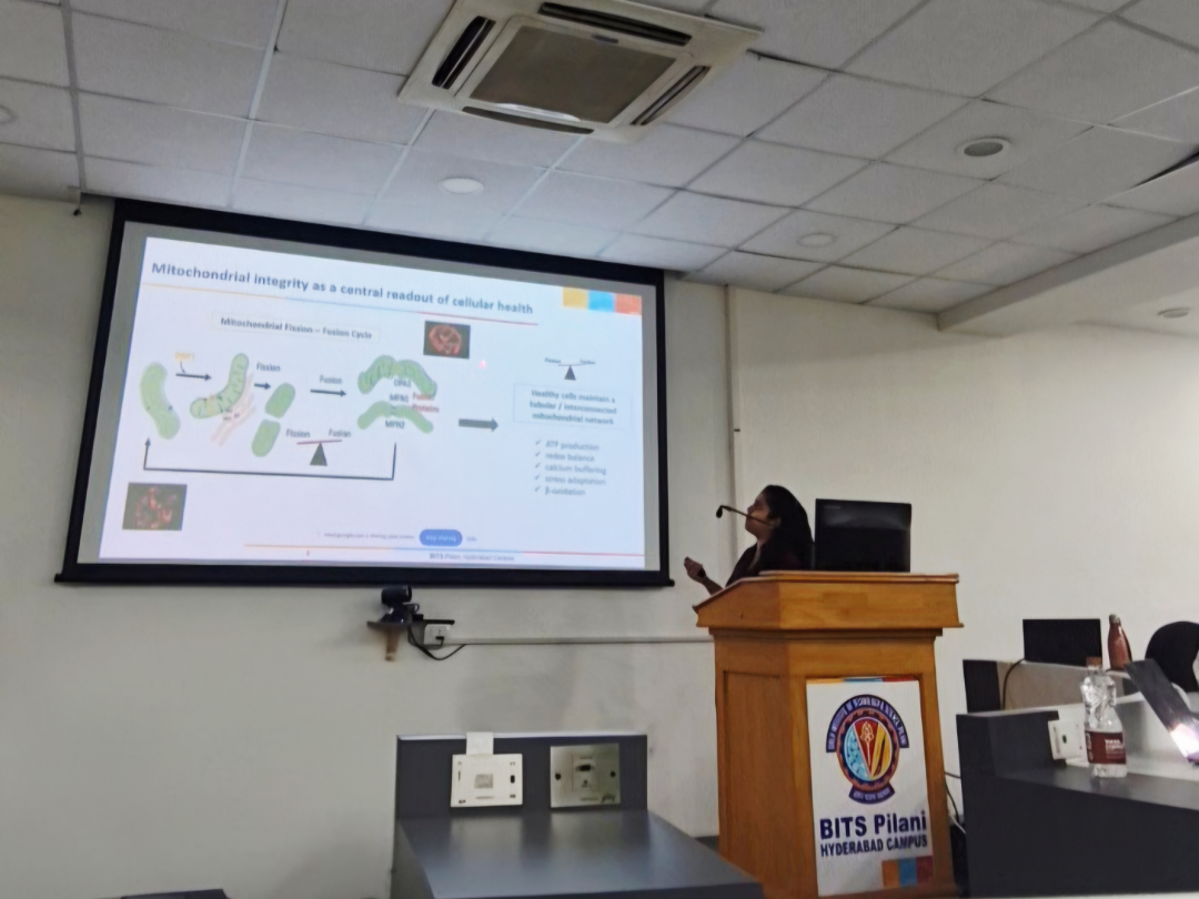 PhD pre-submission by Vaishali